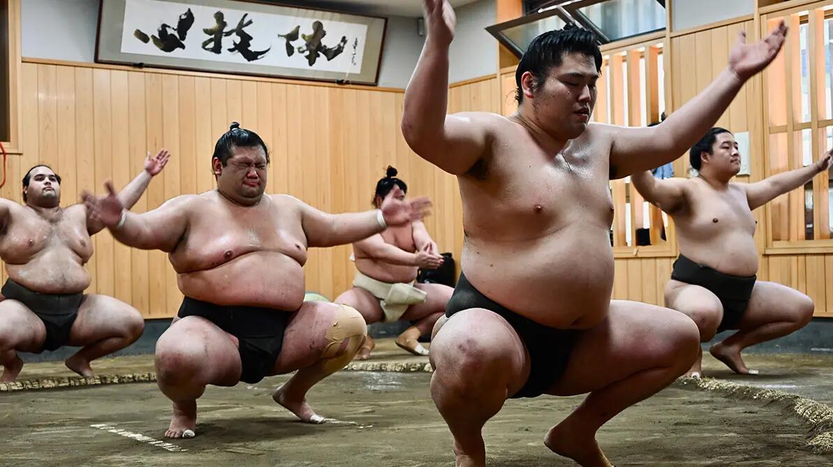 Zawodnicy sumo