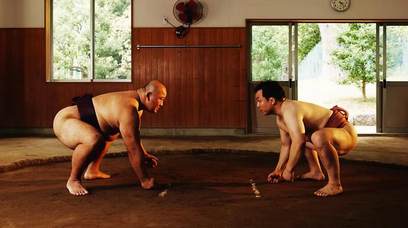 Sumo – japoński sport narodowy. Zasady, kategorie wagowe