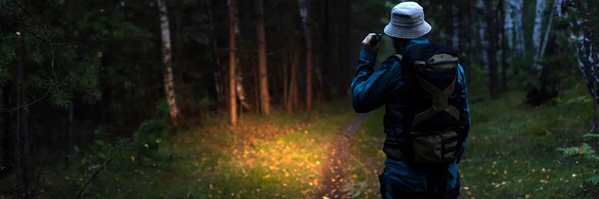 Mężczyzna z latarką chodzący po lesie grajacy w latarkowego berka