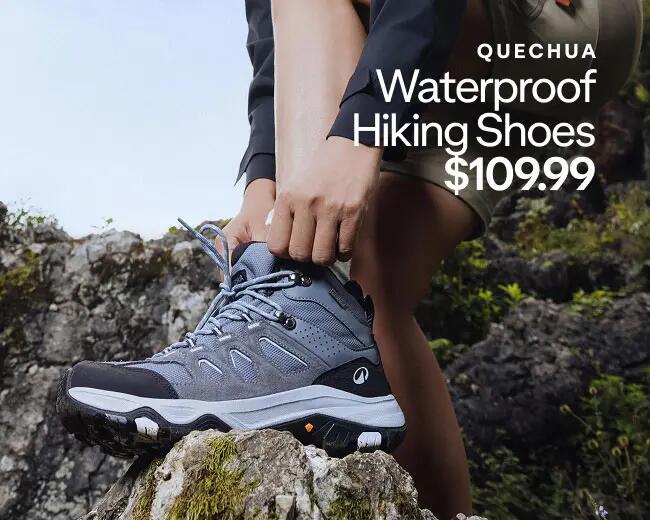 Hiking shoes