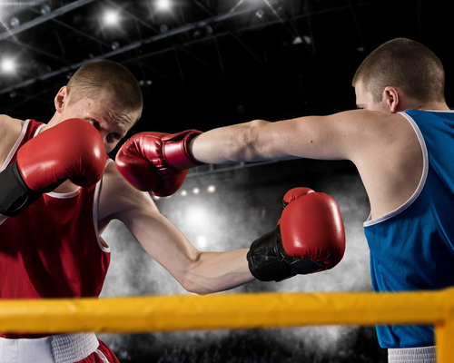 Dwóch mężczyzn w rękawicach bokserskich trenujący podstawowe techniki mma w ringu