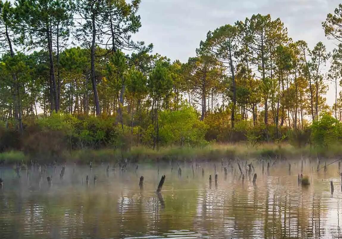 COMMENT UTILISER SON POISSON NAGEUR STICKBAIT ?