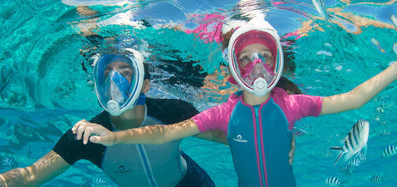 Ontdek enkele ecologische reflexen voor snorkelaars