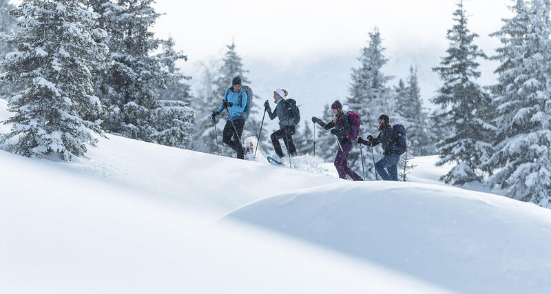 Woordenlijst voor sneeuwhiken