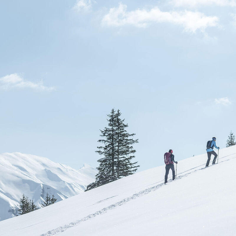 Decouvrir La Randonnee Neige