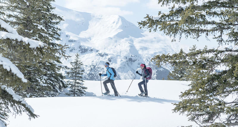 Comment choisir des chaussettes de randonnée neige ?