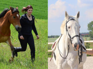 Photos d'aurélie et de son cheval à gauche et de Kabour et Agathe à droite