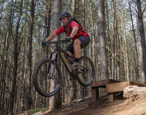 Mountain biking in the woods