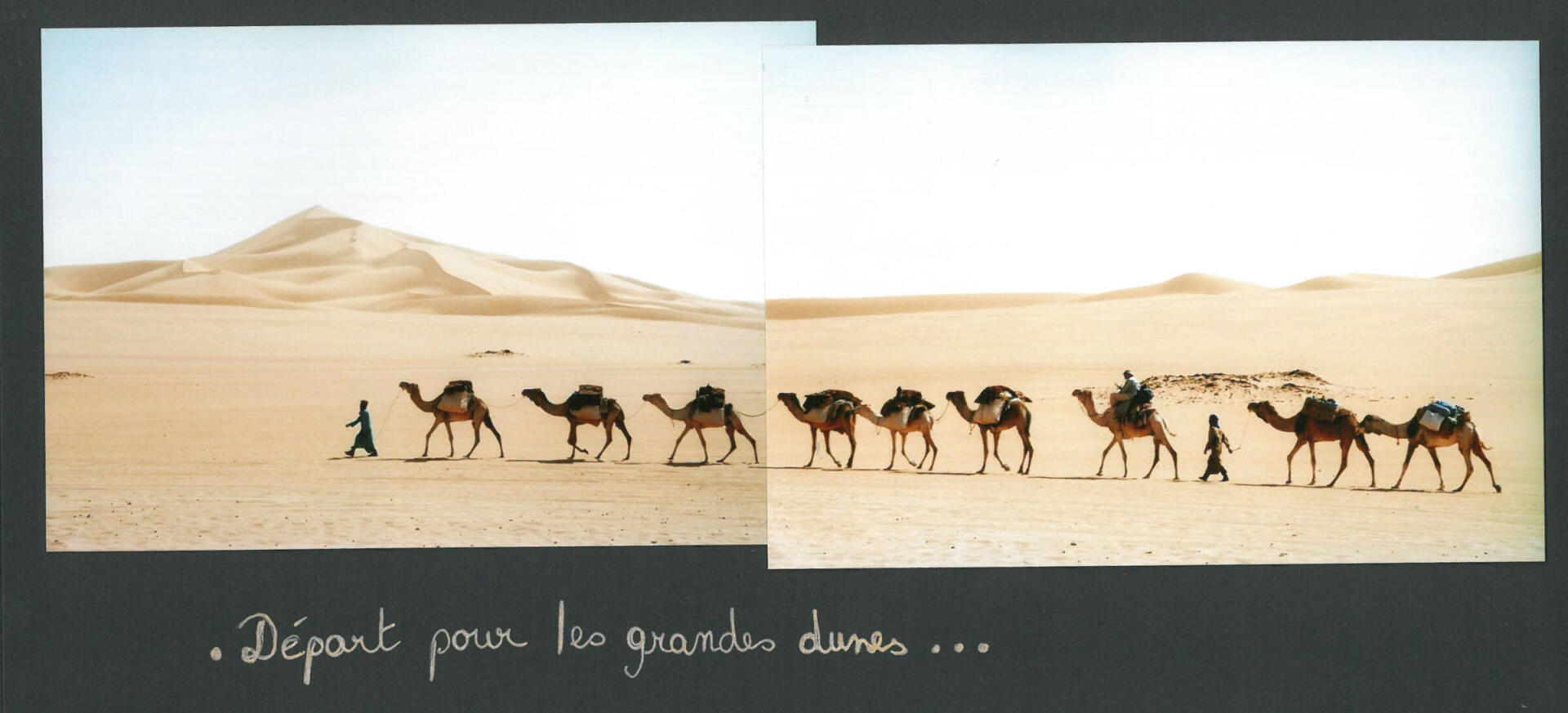 dromadaires sahara desert de lybie meharee