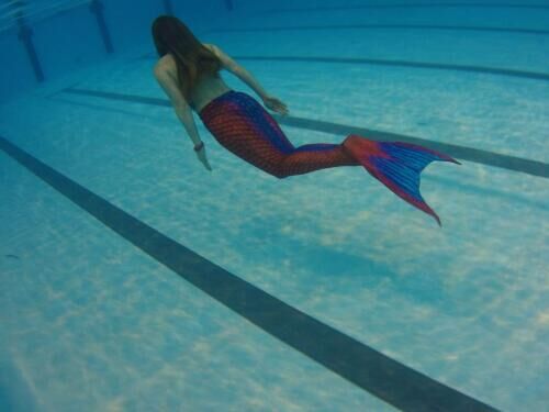 natation artistique