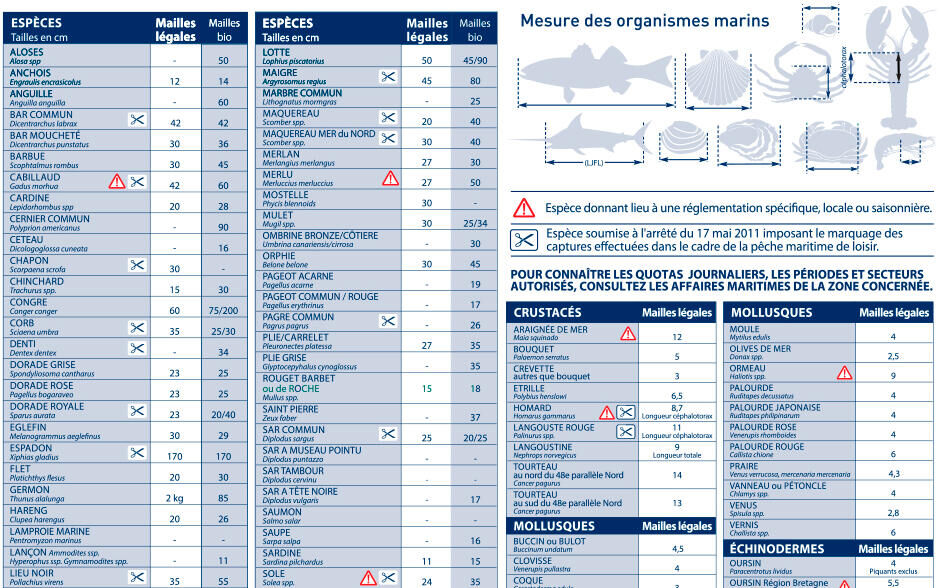 Quais são os tamanhos de malhas regulamentares na caça submarina? 