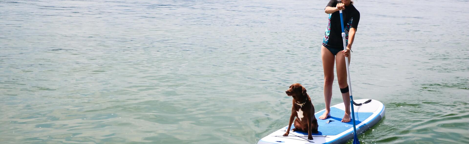 stand up paddle board with dog