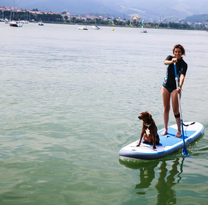 stand up paddle board with dog