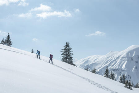 sneeuwwandelen