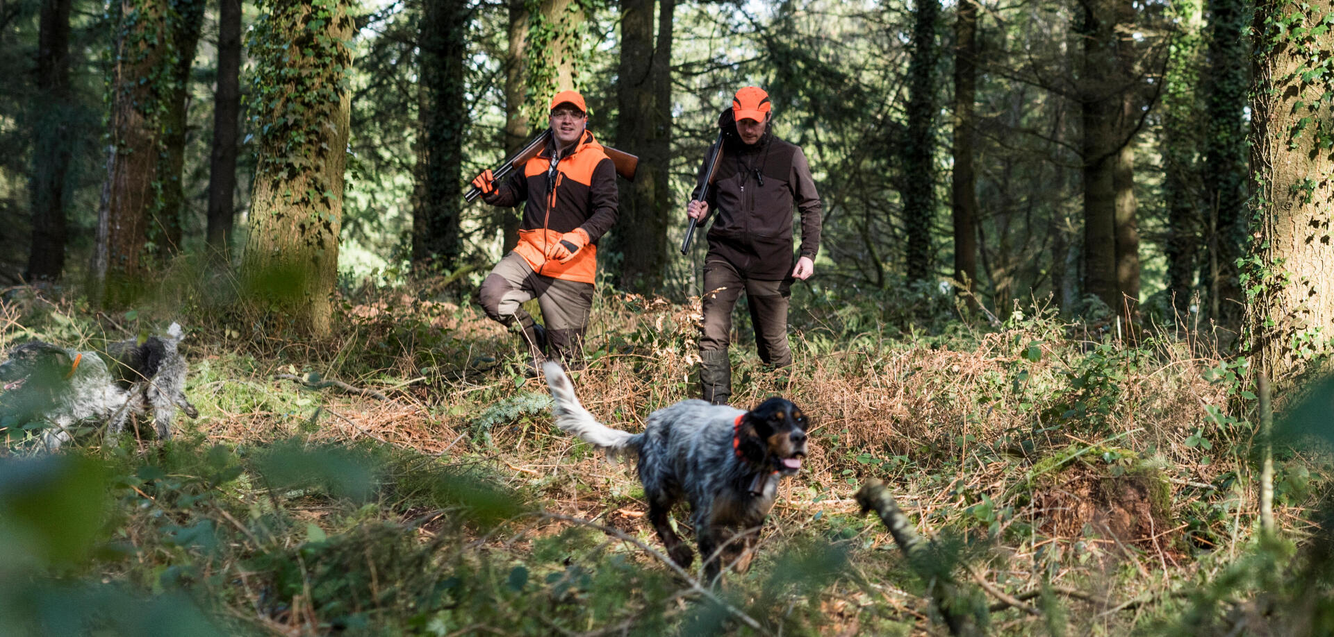Ideias de presentes para praticantes de caça à galinhola e caça menor em bosque