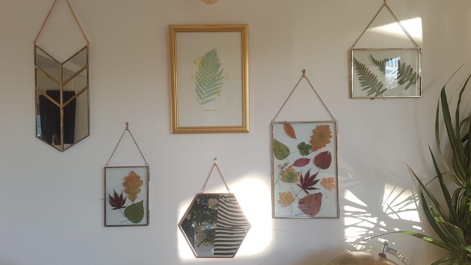 frames-herbarium-nature-leaves 