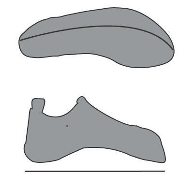 come-scegliere-scarpette da arrampicata-tempo libero-principiante-forma diritta