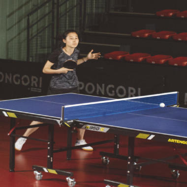 tennis de table free ping pong académique cours jeu match
