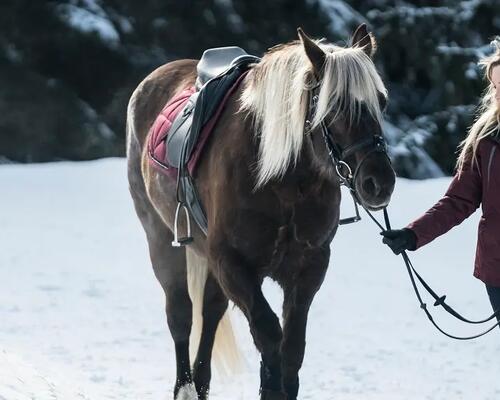 kobieta prowadząca konia zimą