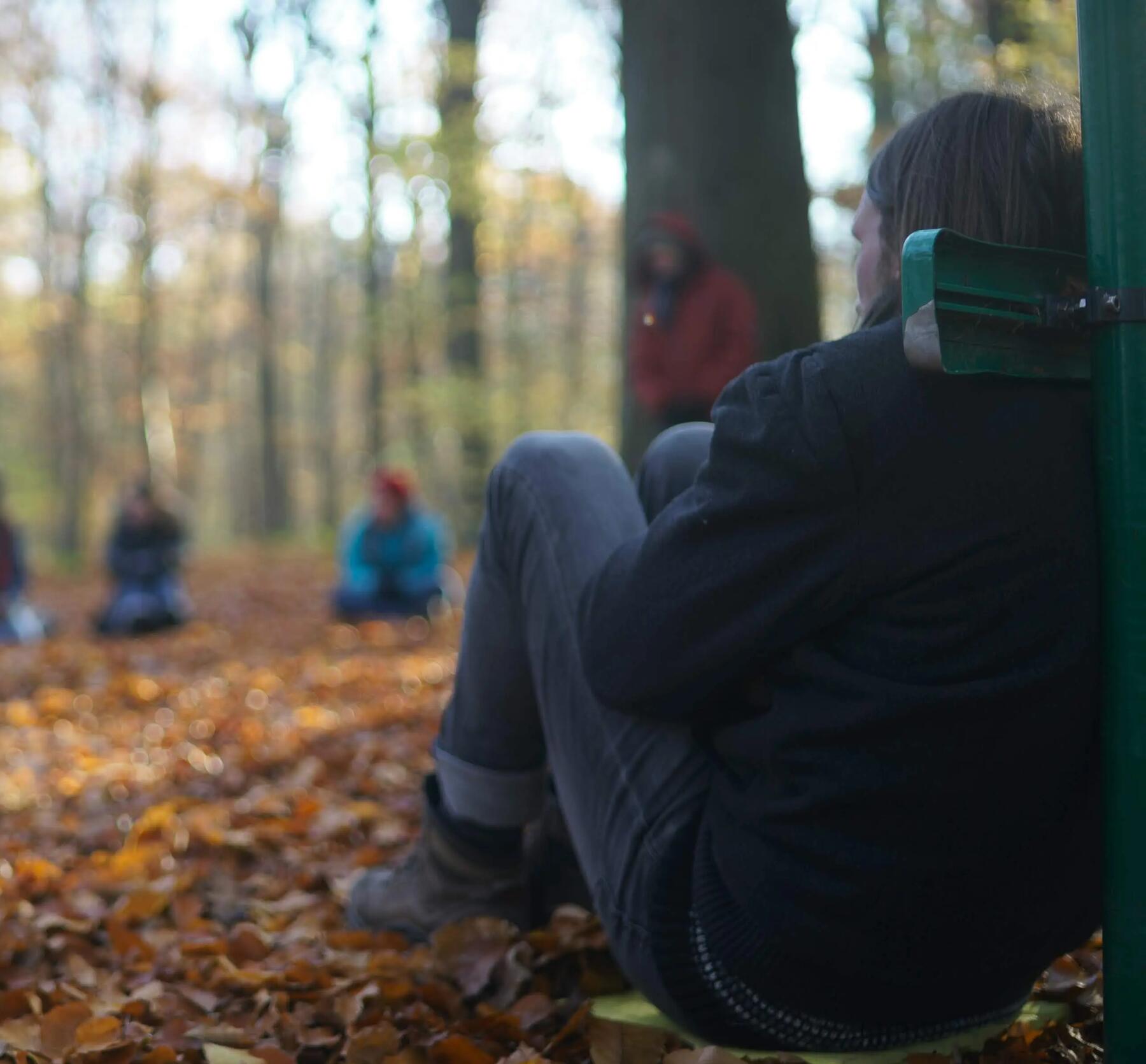 Randonnée en foret