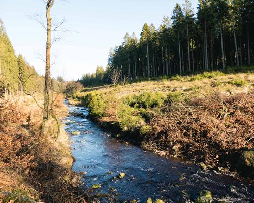 Wandern in der Eifel