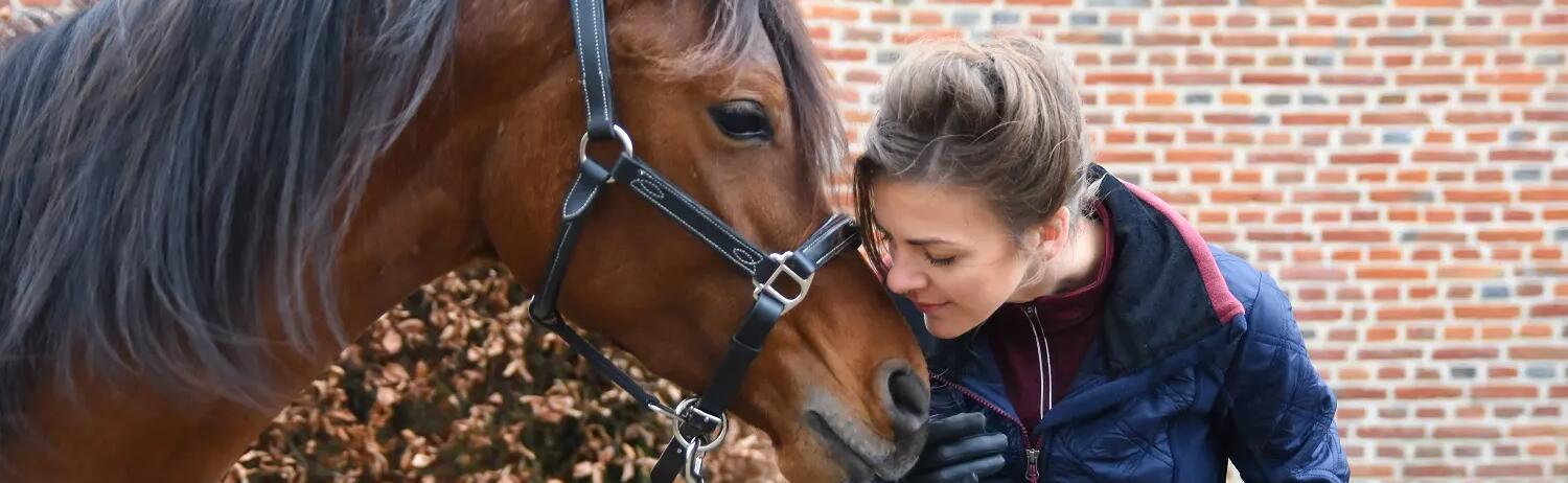 coach cheval équitation