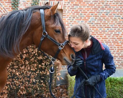 coaching paarden en ruiters