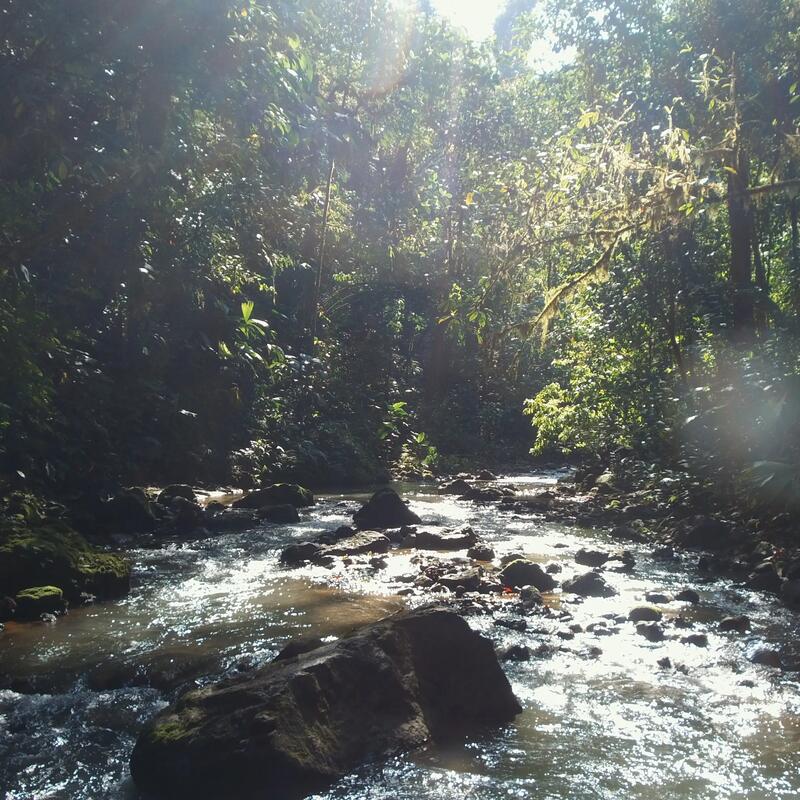 tropical trek moustique protection