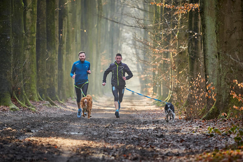 Canicross: courir plus vite avec votre chien