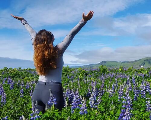 itineraire trek d'un voyage en Islande