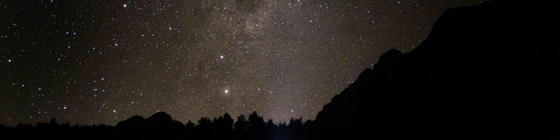 stars-night-trek