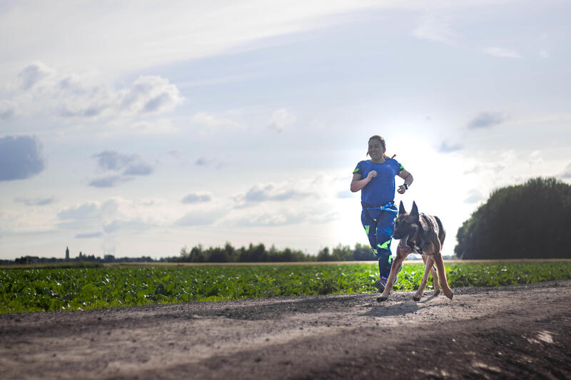 Het juiste tuig voor canicross kiezen