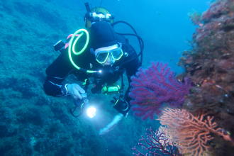 CREATE MEMORIES UNDERWATER WITH OUR TOP SCUBA GEAR