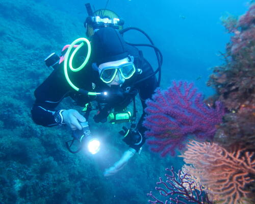 CREATE MEMORIES UNDERWATER WITH OUR TOP SCUBA GEAR