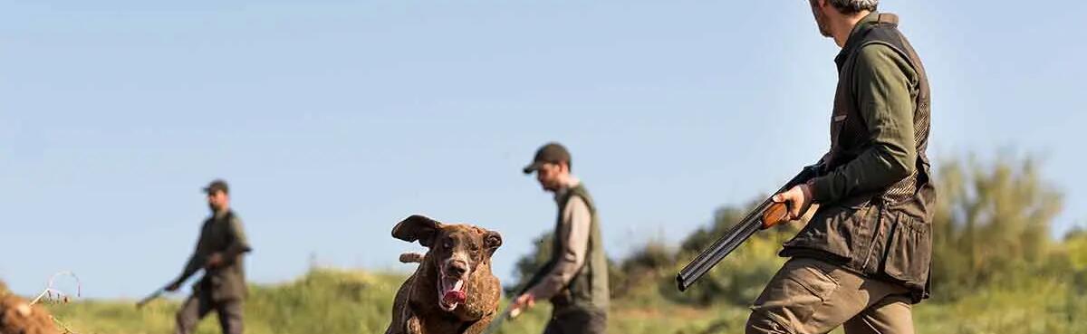 spv manutenção reparação caça e tiro
