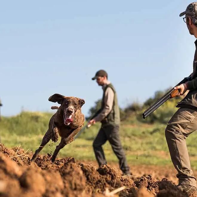 sav entretien reparation chasse et tir