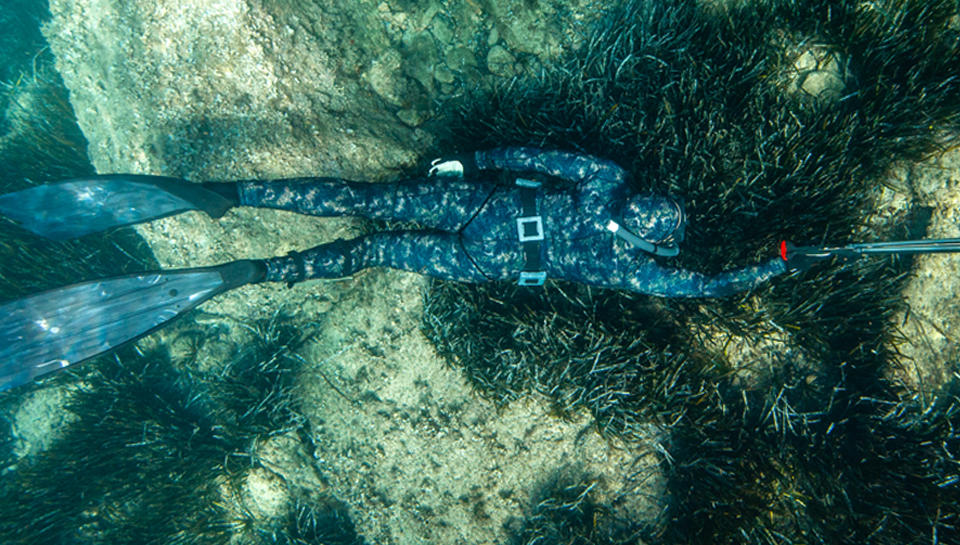 SOCIETE MEDITERRANEENNE DE MATERIEL DE PECHE SOUS MARINE - diving  equipment, diving mask