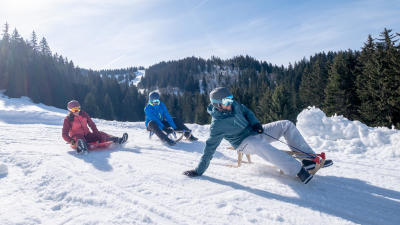 decouvrir-la-luge.jpg