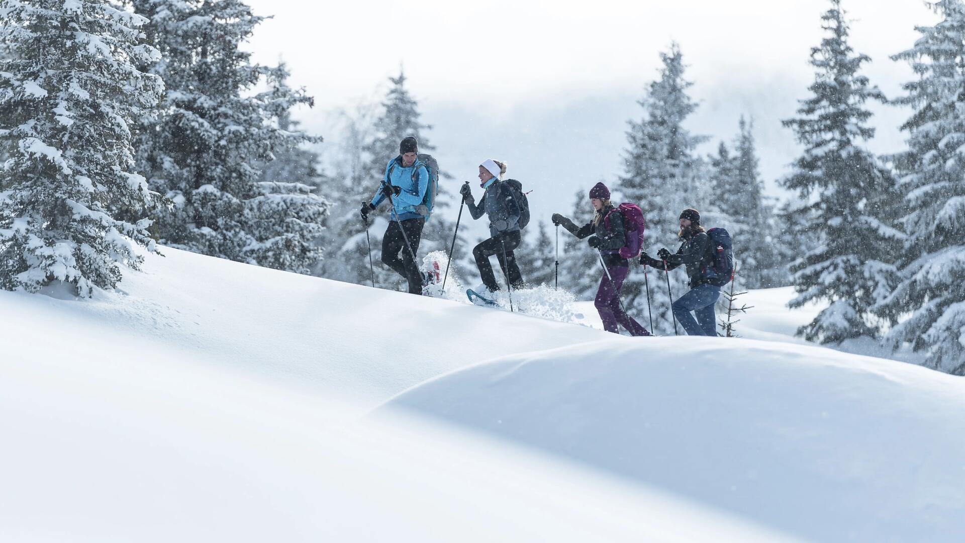 Wo kann man Schlittenfahren? Das gewisse Extra für das Schneeschuhwandern! 