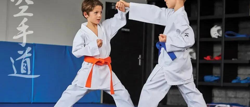 Pasy w karate – znaczenie kolorów i stopni