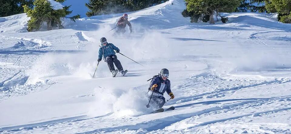 Two people skiing in snowy backdrop