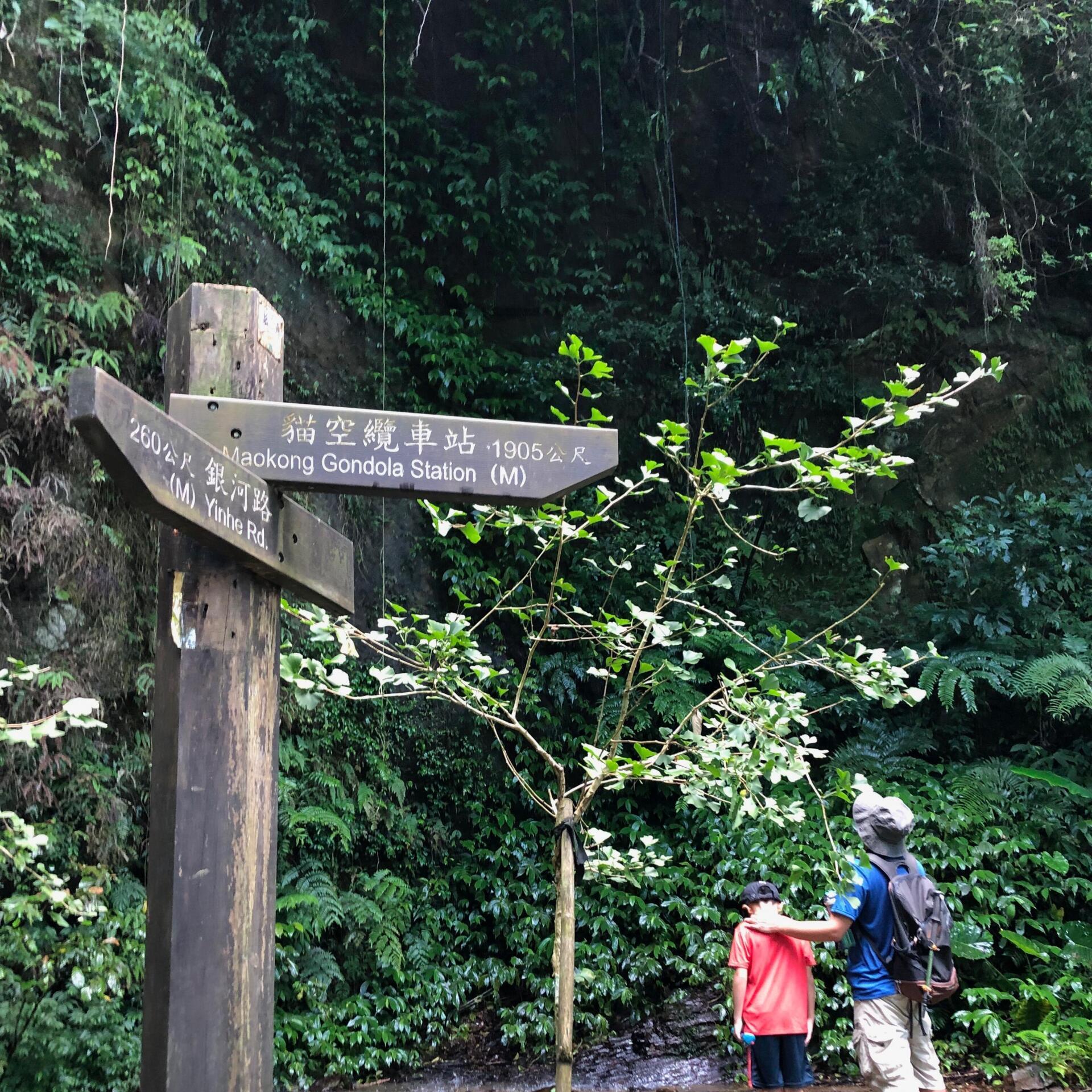 銀河洞瀑布往貓空