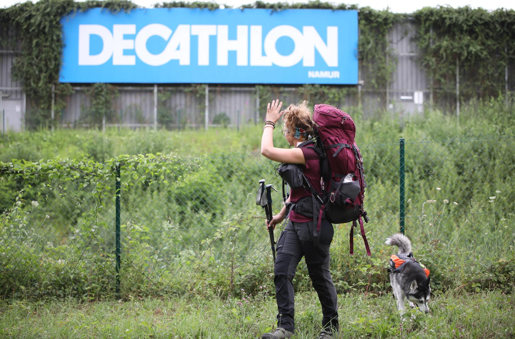 randonnée_avec_son_chien_trekking