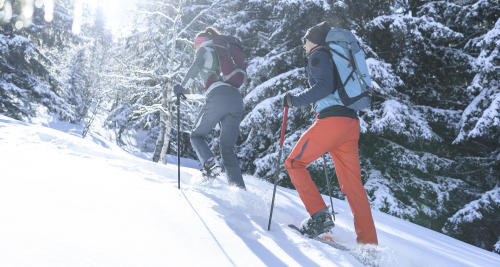 Choosing your snowshoe hiking equipment - teaser