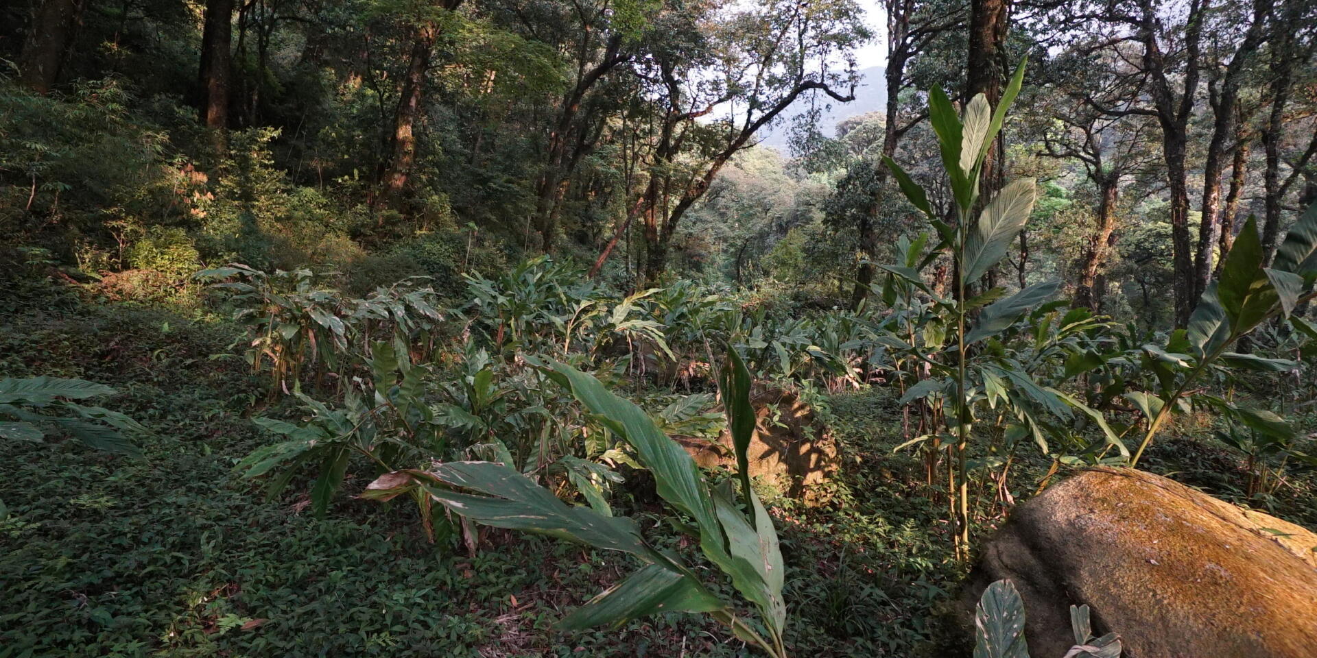 Tropical trek in Sapa in Vietnam