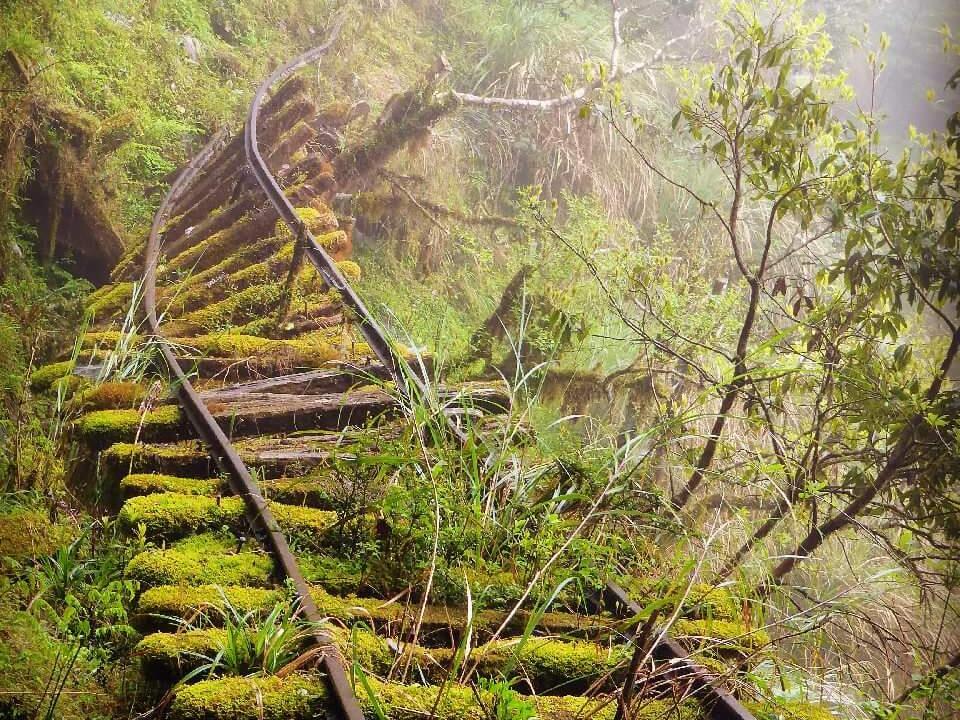 太平山見晴步道