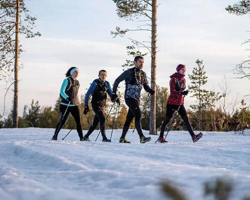 mężczyźni i kobiety trenujący nordic walking zimą