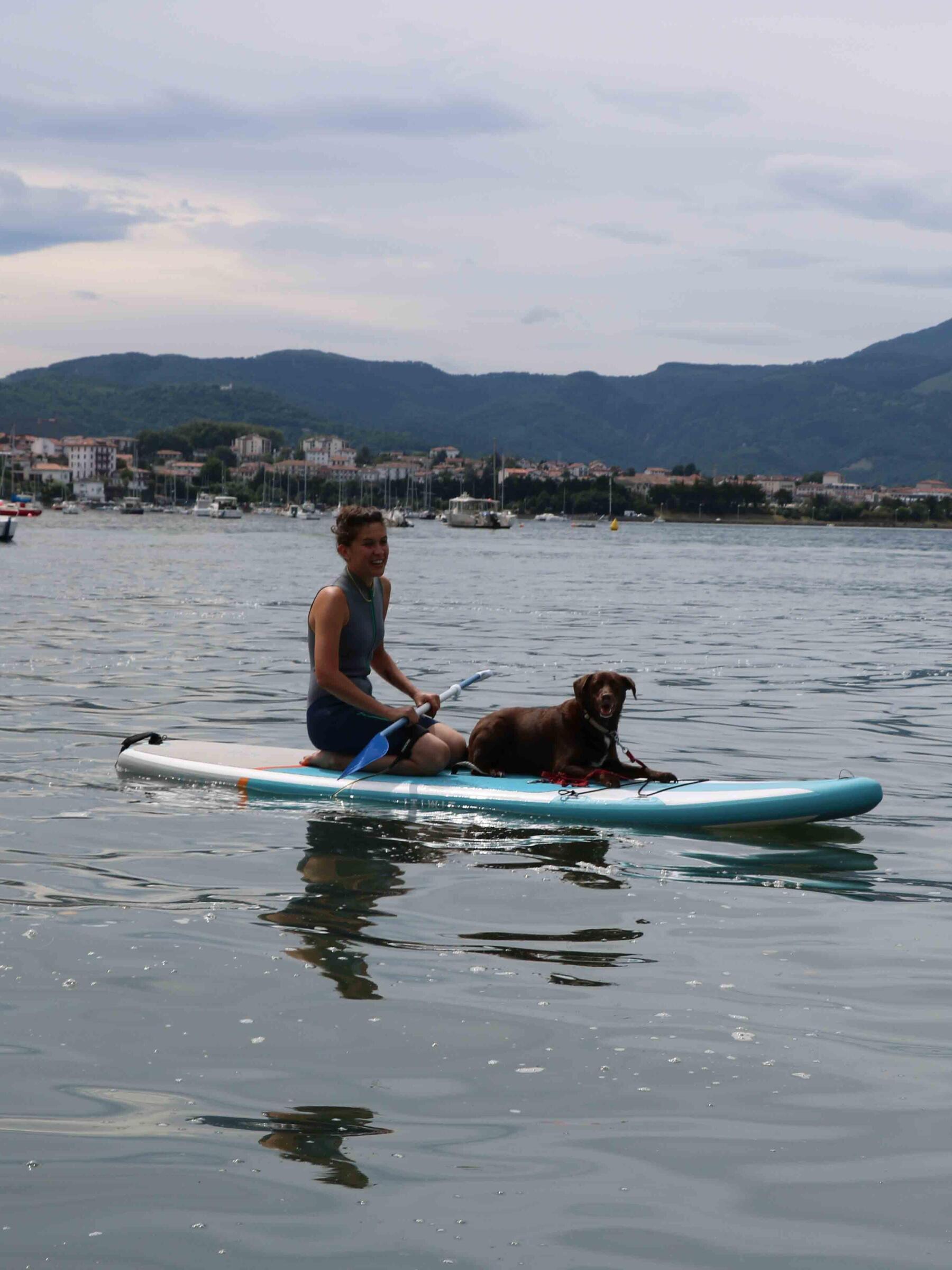 stand up paddle boarding with your dog