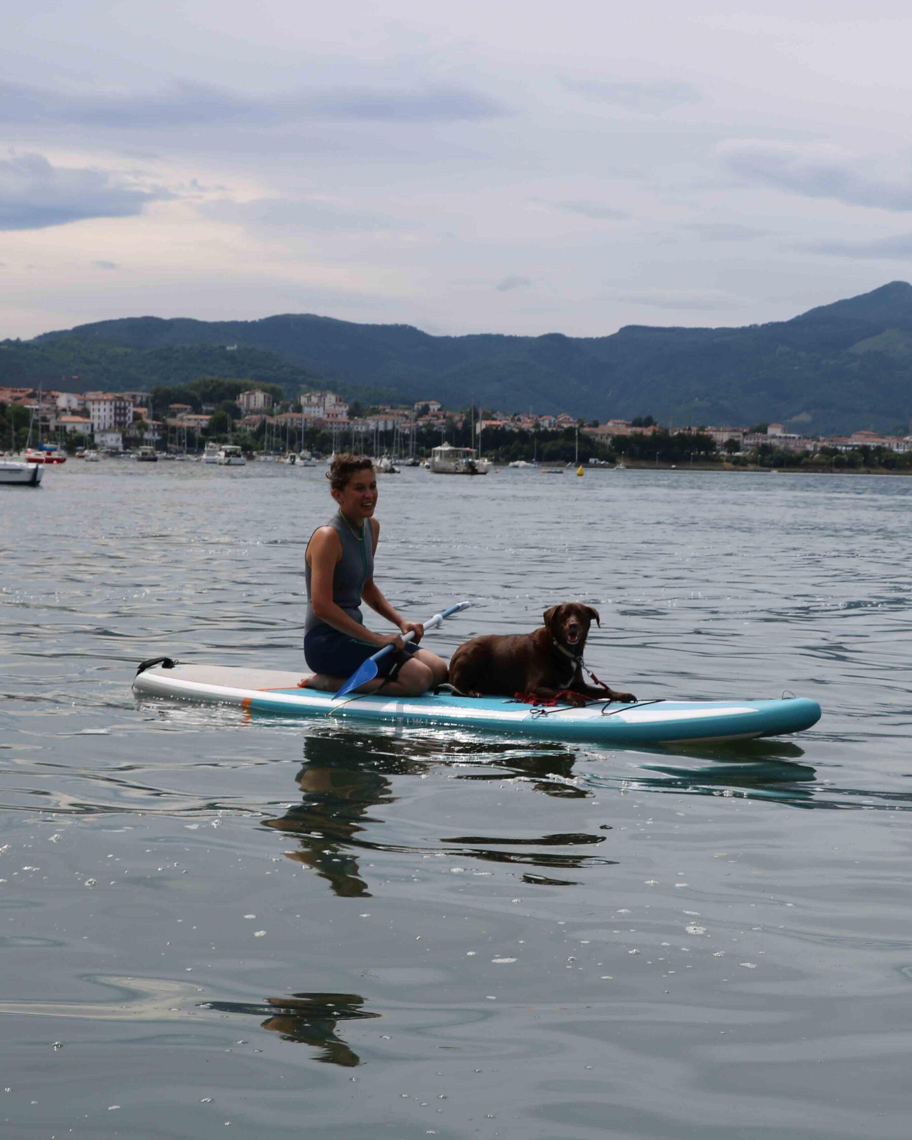 stand up paddle chien