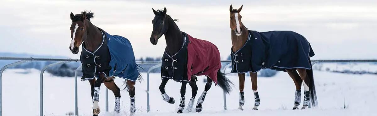 konie w derkach stojące na śniegu